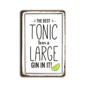 Metalen wandbord The best tonic has a large gin in it!