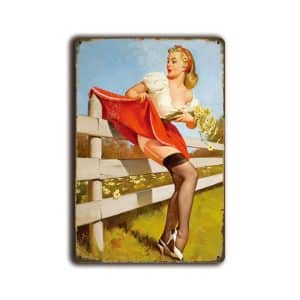 Metalen wandbord Pin-up girl "skirt on fence"